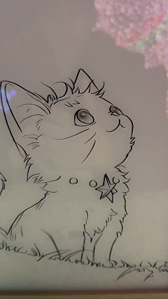 Cat Dreaming of Butterflies